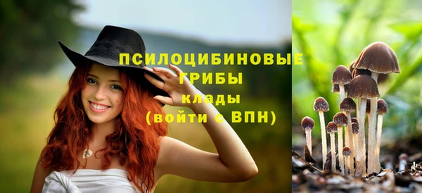 винт Заволжье