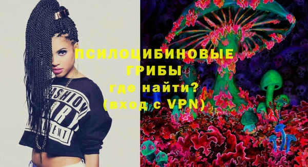ГАЛЛЮЦИНОГЕННЫЕ ГРИБЫ Заводоуковск