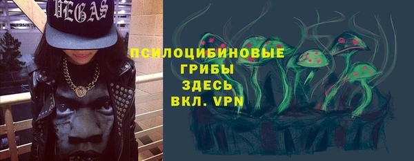 ГАЛЛЮЦИНОГЕННЫЕ ГРИБЫ Заводоуковск