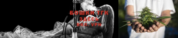 ГАЛЛЮЦИНОГЕННЫЕ ГРИБЫ Заводоуковск