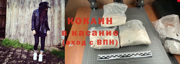 PSILOCYBIN Зерноград