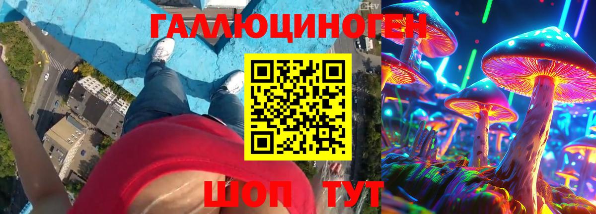 Галлюциногенные грибы мухоморы Кингисепп