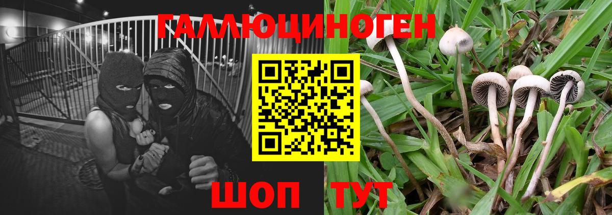 Псилоцибиновые грибы ЛСД  Вход с VPN  Кингисепп 